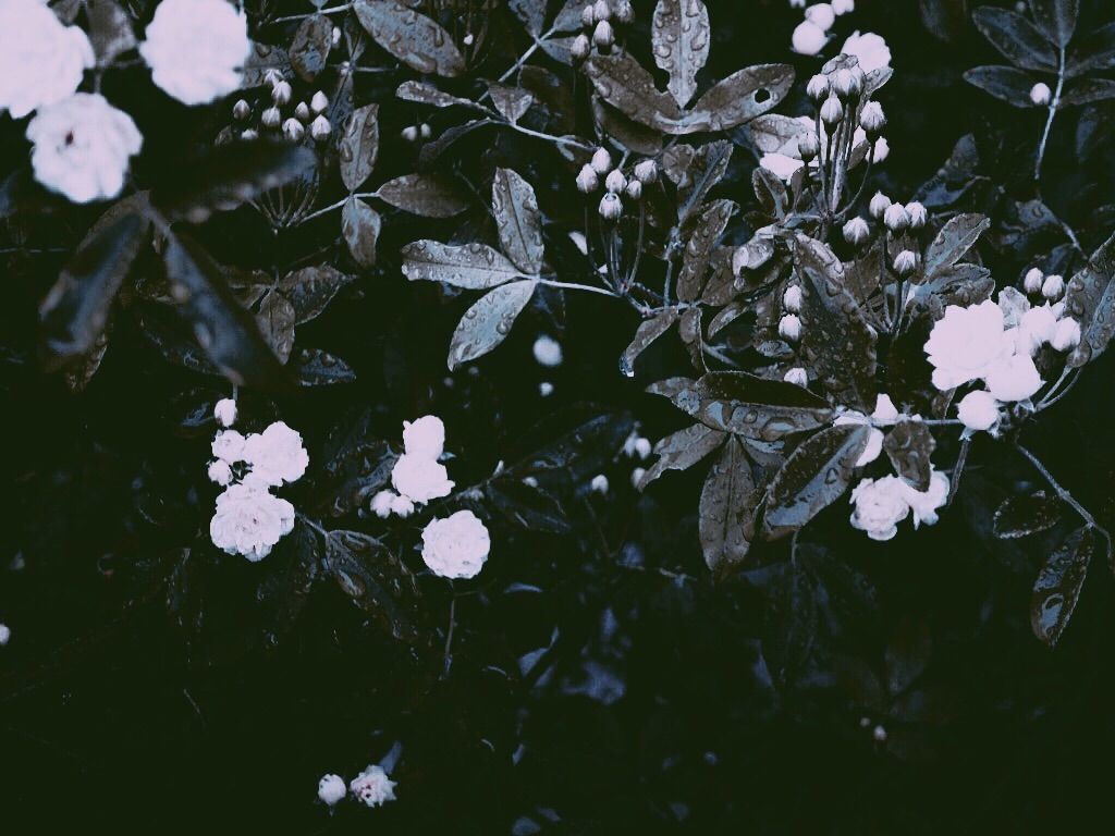 f:id:lwndop:20200815002408j:plain
