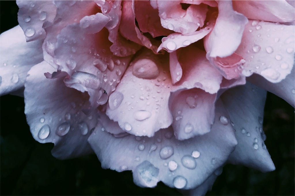 f:id:lwndop:20200815002453j:plain