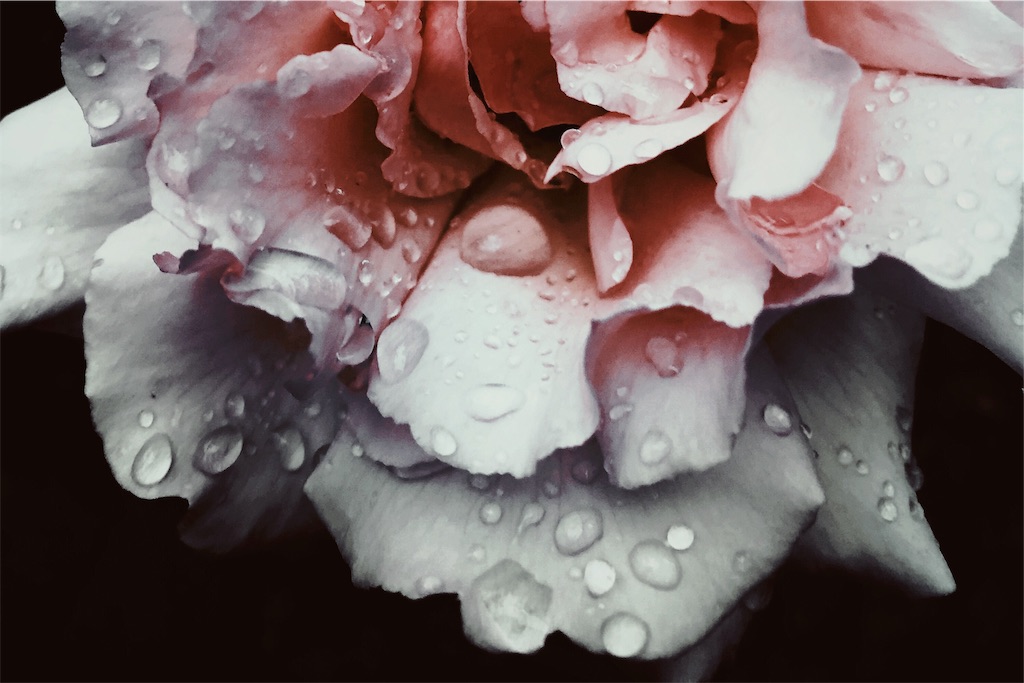 f:id:lwndop:20200815002643j:plain