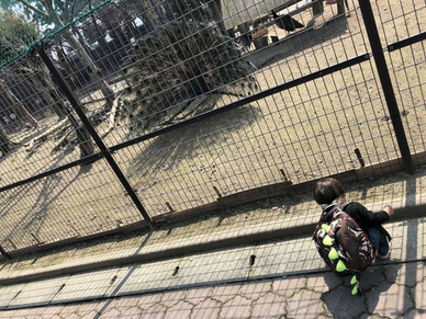 f:id:lycca:20190327001740j:plain f:id:lycca:20190327001740j:plain