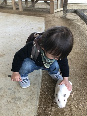 f:id:lycca:20190327001754j:plain f:id:lycca:20190327001754j:plain