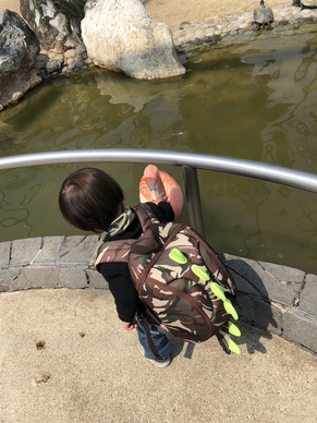 f:id:lycca:20190327001853j:plain f:id:lycca:20190327001853j:plain