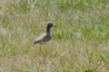 20130220120451