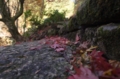20151111101903