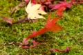 20151111101905