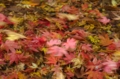 20151111101906
