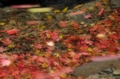 20151111101907