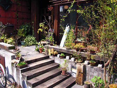 f:id:lynxeyed:20080419020806j:image