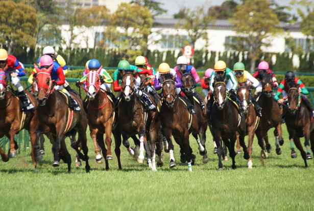 f:id:lynyrdburitto:20171008112521p:plain f:id:lynyrdburitto:20171008112521p:plain