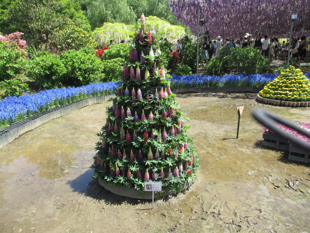 f:id:lynyrdburitto:20180429080815j:plain