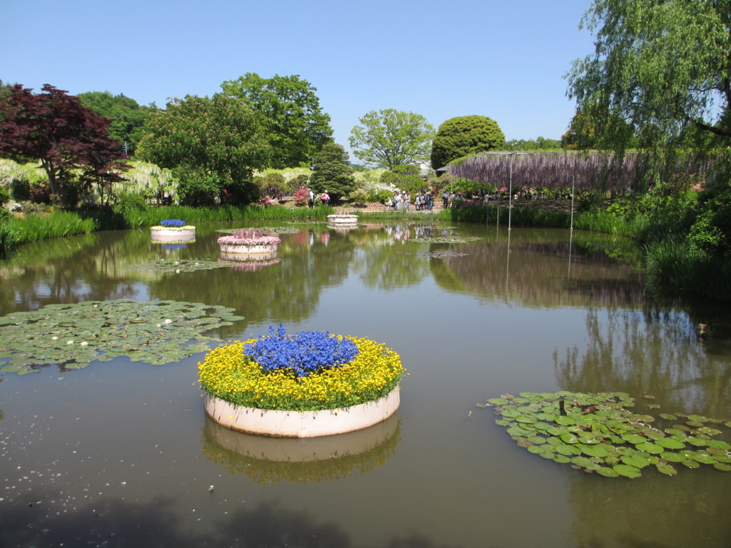 f:id:lynyrdburitto:20180429080919j:plain