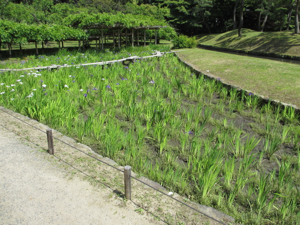 f:id:lynyrdburitto:20180430085332j:plain f:id:lynyrdburitto:20180430085332j:plain