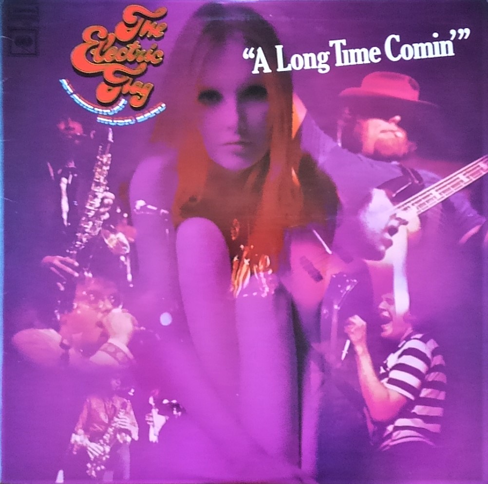 この人の、この1枚 『エレクトリック・フラッグ(The Electric Flag)／ A Long Time Comin'』 Flying Skynyrdのブログ