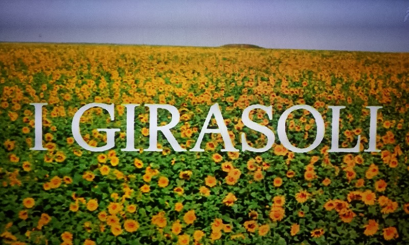 f:id:lynyrdburitto:20200728134239p:plain f:id:lynyrdburitto:20200728134239p:plain