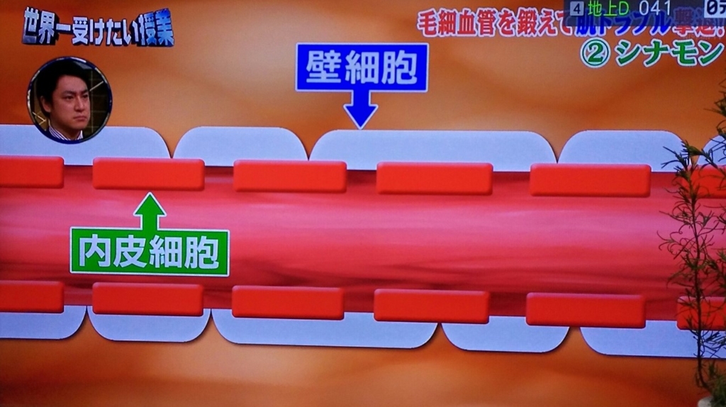 f:id:lyricstravel:20170311212112j:plain