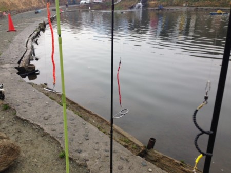 セニョールトルネードを真剣に引いてみた みいらの 気ままにblog セニョールトルネードを真剣に引いてみた みいらの 気ままにblog