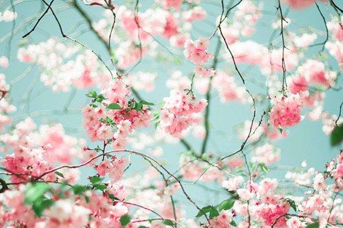 f:id:lytre:20170331183352j:image f:id:lytre:20170331183352j:image