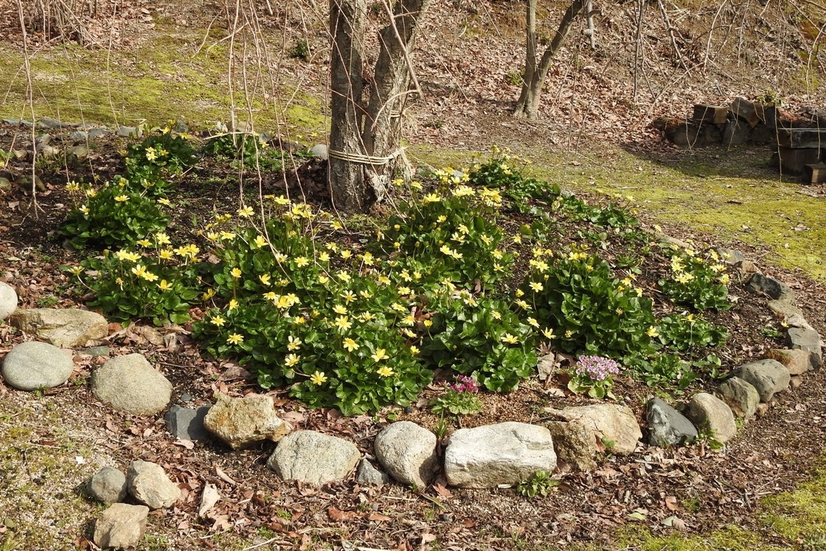 f:id:m-923atto:20200301100254j:plain