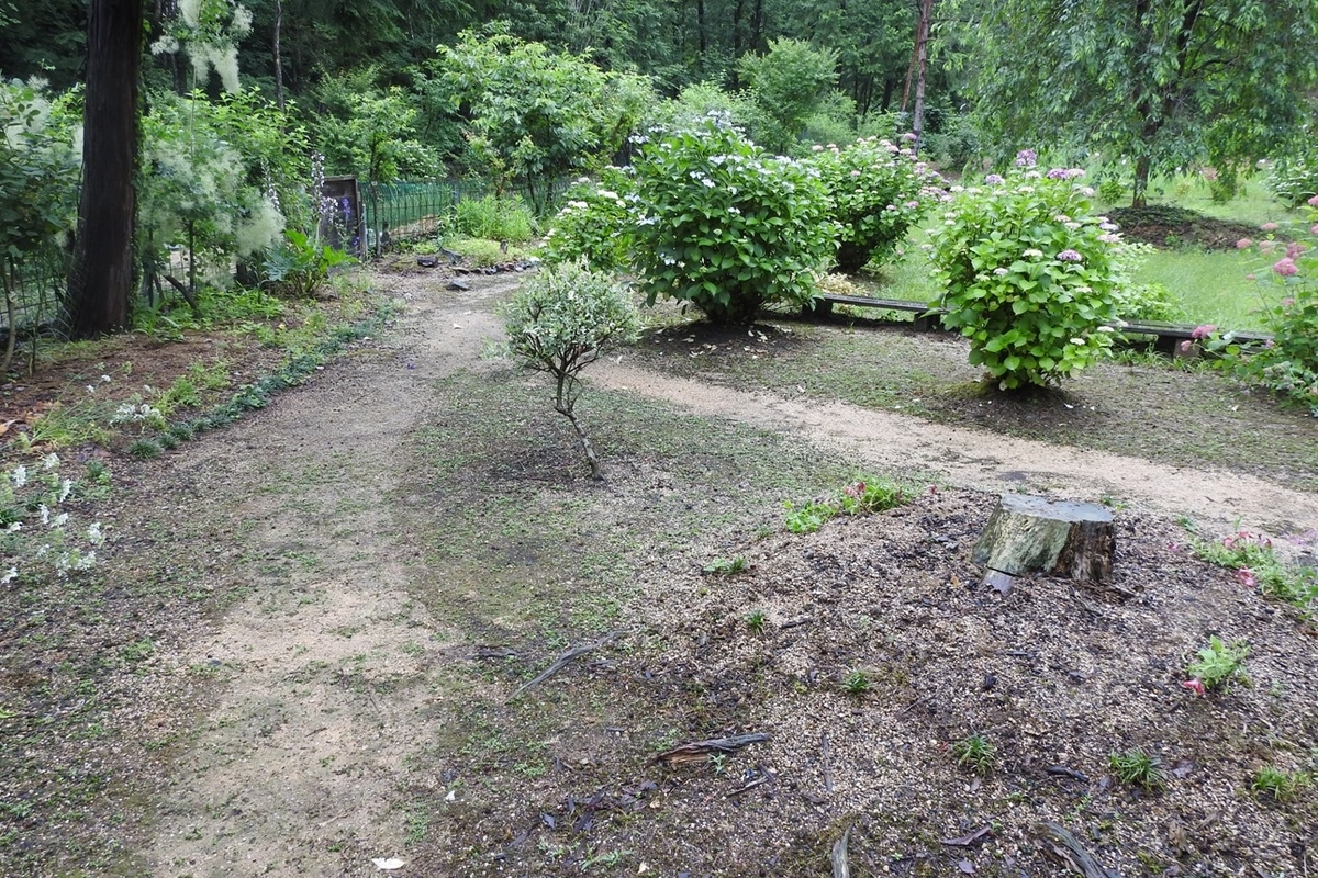 f:id:m-923atto:20200616093939j:plain f:id:m-923atto:20200616093939j:plain