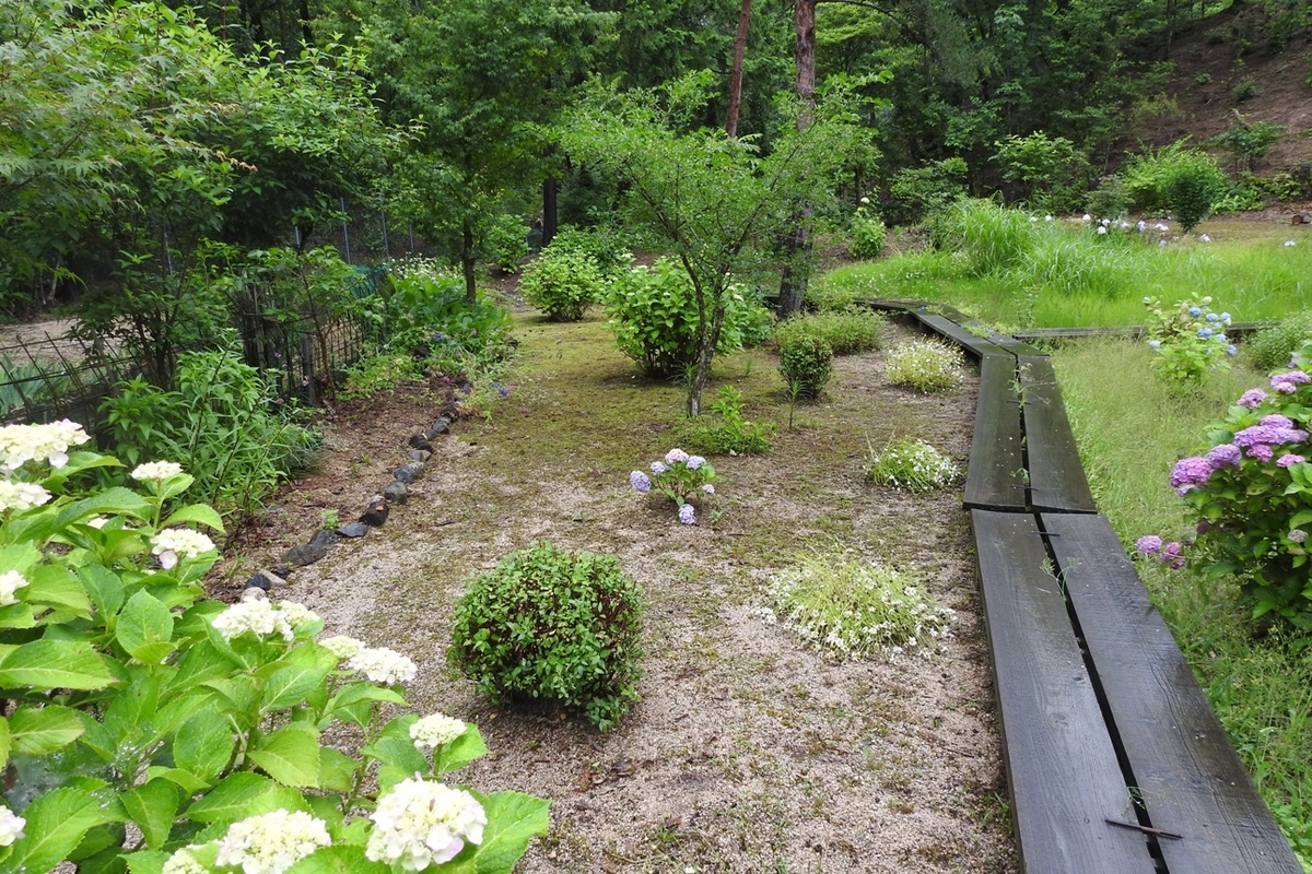 f:id:m-923atto:20200616093945j:plain f:id:m-923atto:20200616093945j:plain