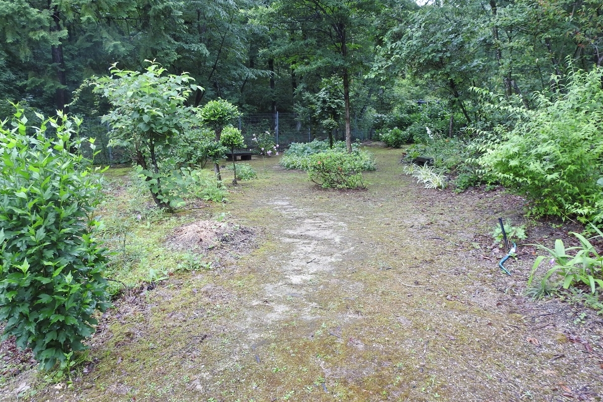 f:id:m-923atto:20200616094005j:plain f:id:m-923atto:20200616094005j:plain