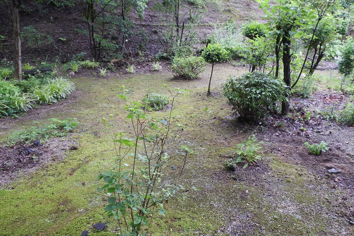 f:id:m-923atto:20200616094013j:plain f:id:m-923atto:20200616094013j:plain