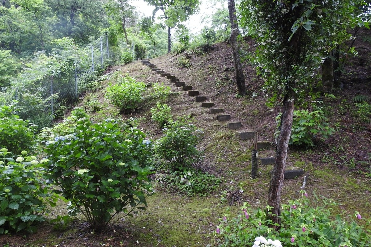 f:id:m-923atto:20200616094027j:plain f:id:m-923atto:20200616094027j:plain