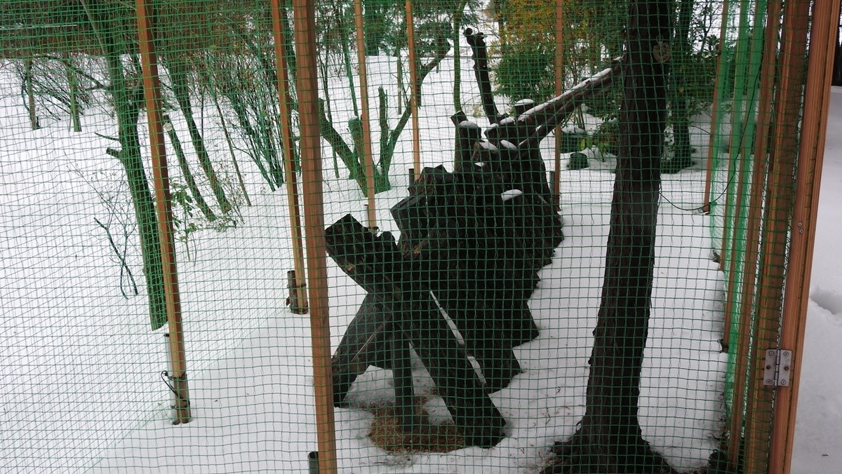 f:id:m-923atto:20210105102351j:plain