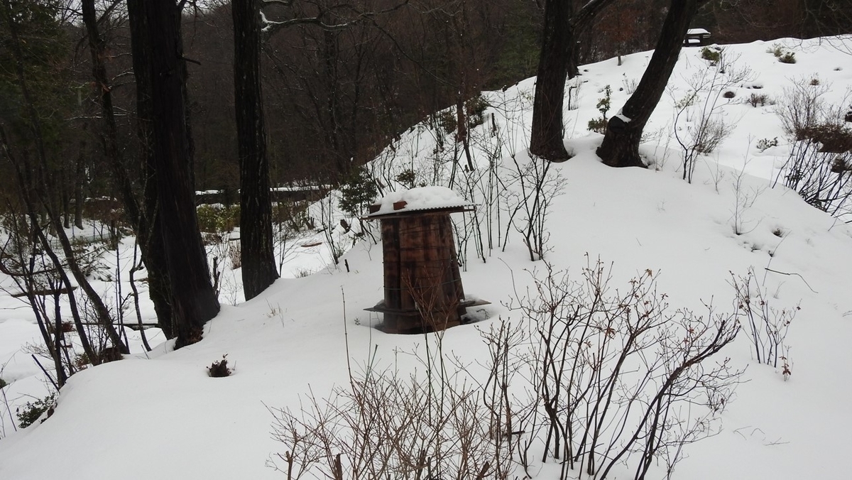 f:id:m-923atto:20210105102417j:plain