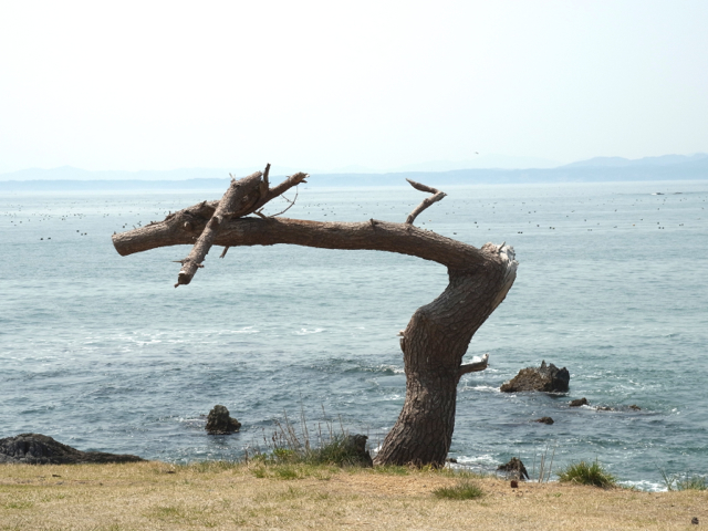 f:id:m-at:20140426105600j:plain