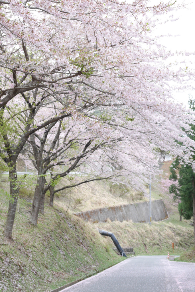 f:id:m-at:20160424063537j:plain