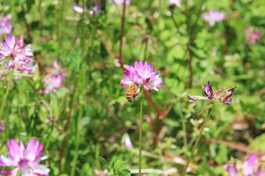 f:id:m-at:20161122232605j:plain f:id:m-at:20161122232605j:plain