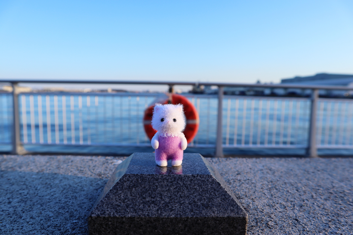 f:id:m-b-ameno:20200211233616j:plain