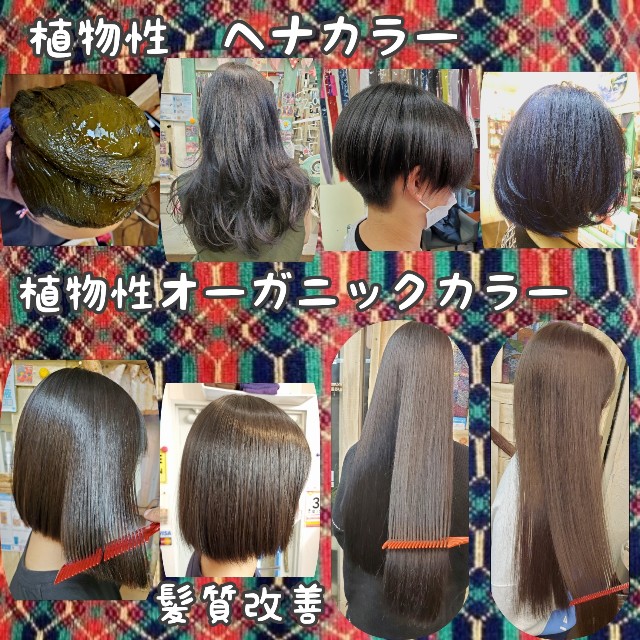 f:id:m-company:20230112090743j:image f:id:m-company:20230112090743j:image