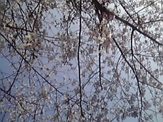 f:id:m-design:20090407075417j:image