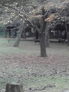 f:id:m-design:20091210144912j:image