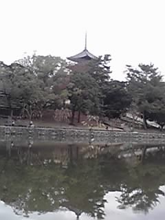 f:id:m-design:20091210144922j:image