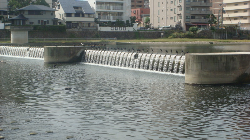 f:id:m-design:20101023105910j:image