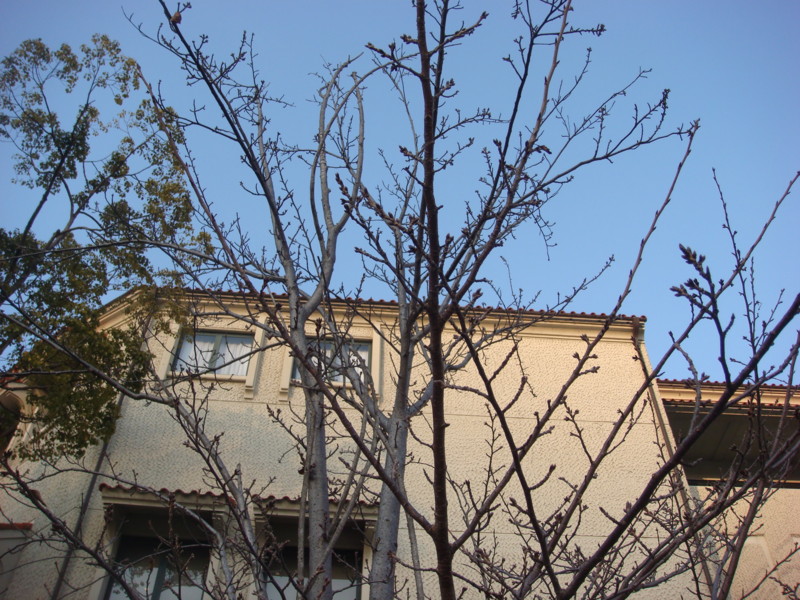 f:id:m-design:20110204163852j:image