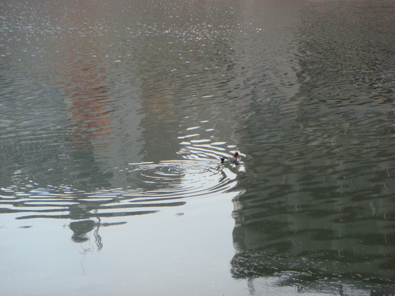 f:id:m-design:20110206121027j:image