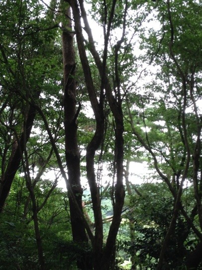 f:id:m-design:20120815234859j:image:w360