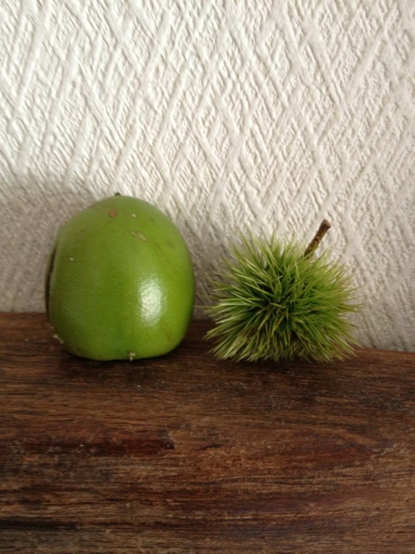 f:id:m-design:20120816100338j:image:w120