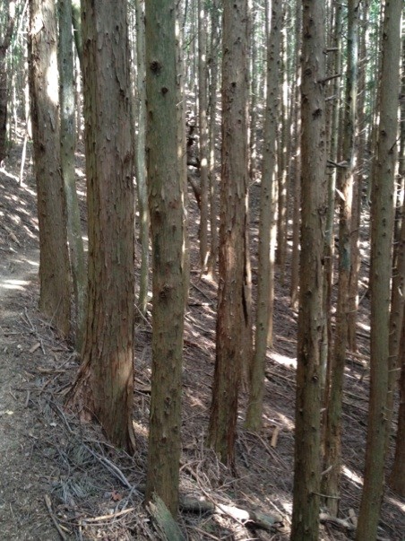 f:id:m-design:20120826095027j:image:w360
