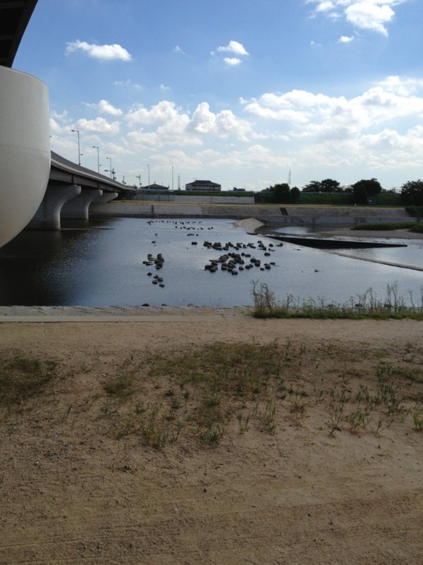 f:id:m-design:20120831113226j:image:w360