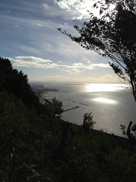 f:id:m-design:20120918074321j:image:w360