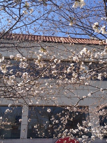 f:id:m-design:20130326110252j:image:w360