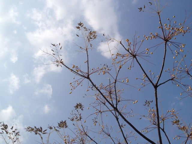f:id:m-design:20131206121645j:image:w640