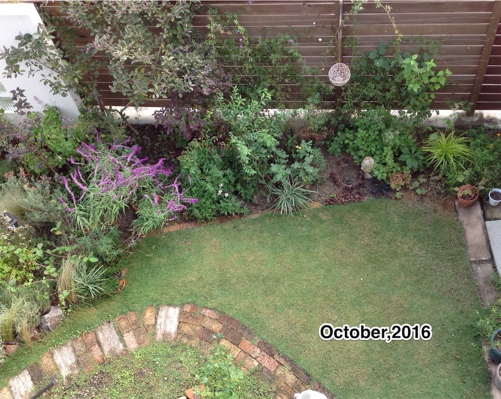 f:id:m-garden-life:20161029162737j:image f:id:m-garden-life:20161029162737j:image