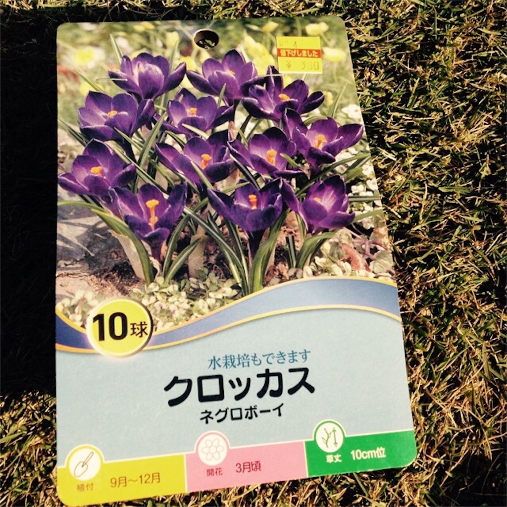 f:id:m-garden-life:20161129150958j:image f:id:m-garden-life:20161129150958j:image