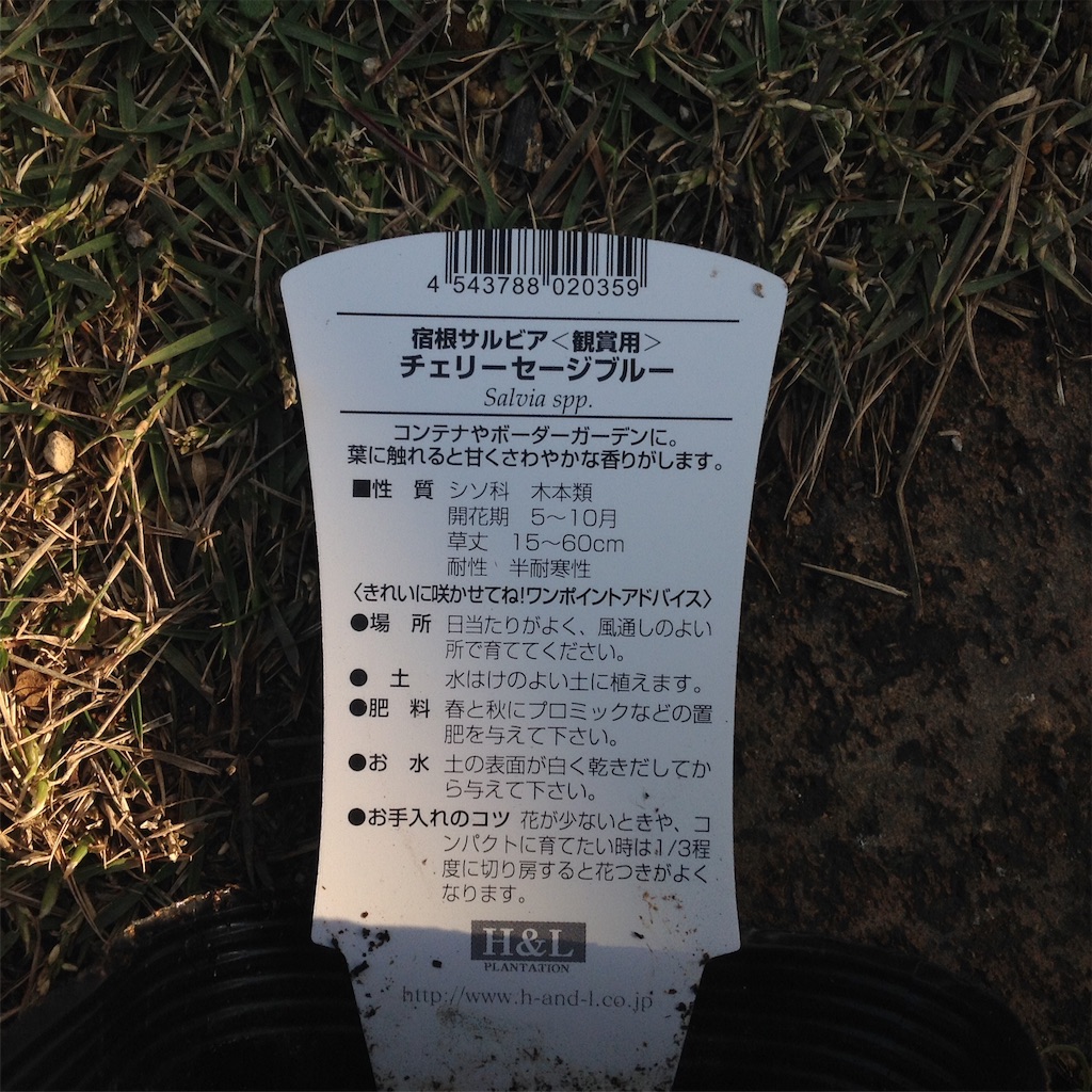 f:id:m-garden-life:20161129151618j:image f:id:m-garden-life:20161129151618j:image
